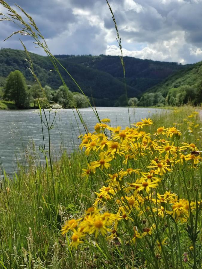 Entre Meuse et forêt Revin  Exterior foto