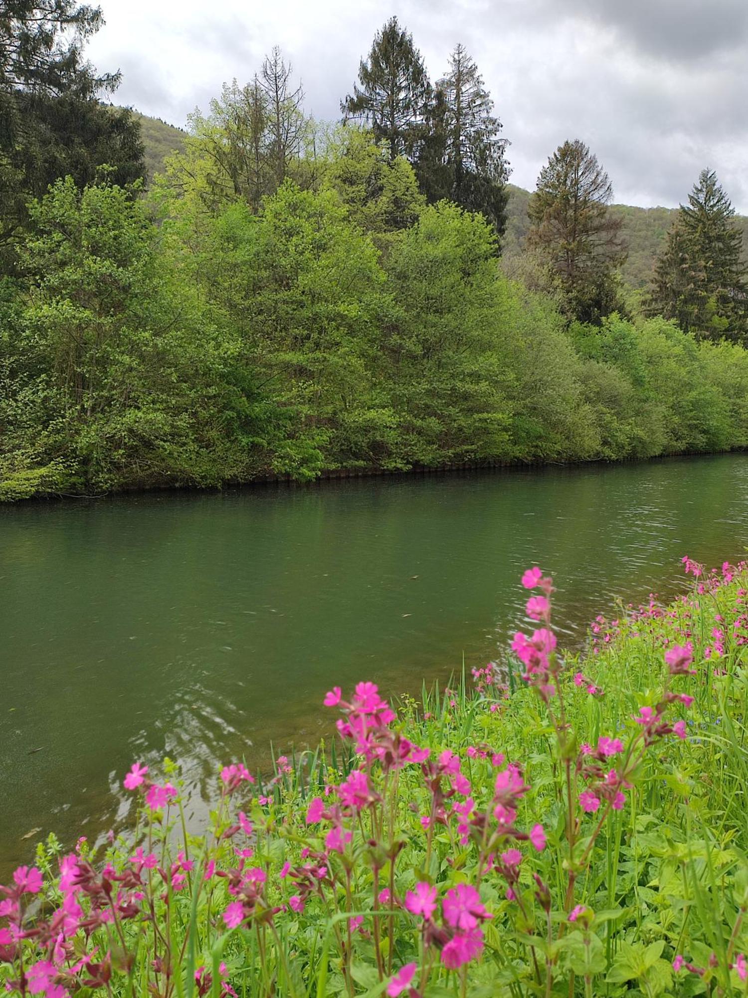 Entre Meuse et forêt Revin  Exterior foto