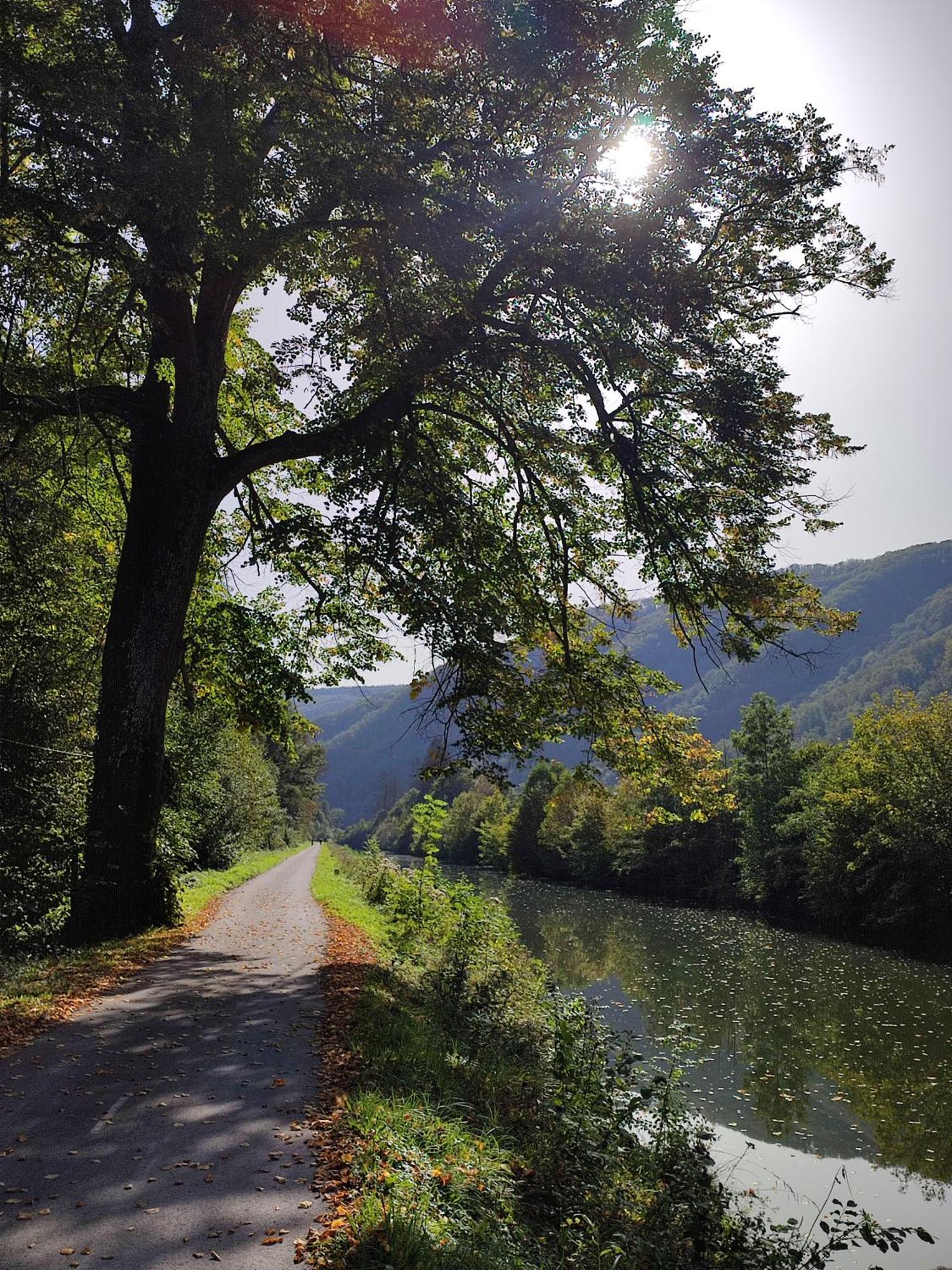 Entre Meuse et forêt Revin  Exterior foto